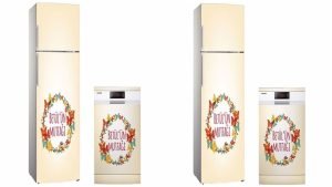 Gaziosmanpaşa Karadeniz İkinci El Beyaz Eşya Alan Yerler